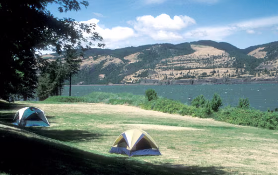 No matter where you end up at Memaloose Campground in Oregon's Memaloose State Park, you’ll have access to huge stands of wild blackberry vines and some of the country’s best windsurfing. 